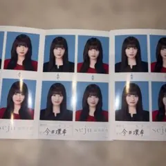 今井環希 seju 証明写真3枚セットのサムネイル