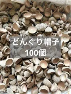 どんぐり　帽子　ミックス　100個以上　秋