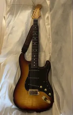 早い者勝ち】SCHECTER 限定ハワイアンコア SD-2-24 激レア極上品