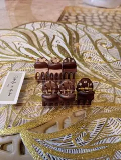 ◆ ローランオリビエ　ミニバレッタ クリップ 6個セット