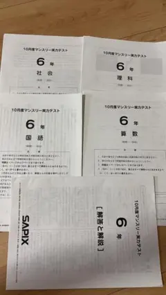 サピックス　小学6年生　テスト1年分【解答付】 SAPIX サピックス 6年 算数 小テスト 基礎力定着テスト テスト