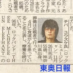チバユウスケ パネル 激レア 佐内正史 ミッシェルガンエレファント バースデイ チバユウスケ パネル 激レア 佐内正史 ミッシェルガン