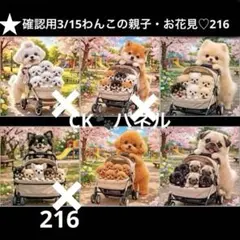 確認用3/15わんこ♡パネル　ハンドメイド