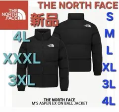 THE NORTH FACEノースフェイス中綿ダウンジャケット新品アウター　4L