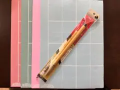 トイズアカデミーJr.の習字練習セット　筆付き　TOEZ 水書用紙