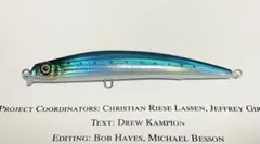 2026年最新】デュエル アイルマグネットの人気アイテム - メルカリ