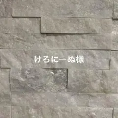 けろにーぬ様 11/28日迄お取り置き可能です