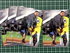 Item thumbnail for item 0d18fcd1-ccaf-4d8a-b098-9a30c10faf7a