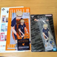 ハイキュー!!　一番くじ　最強の挑戦者　月島蛍