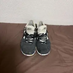 NIKE ストリートガト　24.5