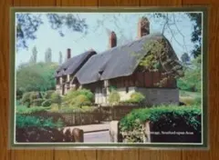 Item thumbnail for item a9d2c3e9-4c5c-4fca-9178-8979c28696b0