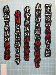 Item thumbnail for item 15a32709-4e0d-4903-8ab6-1091484e8f7e