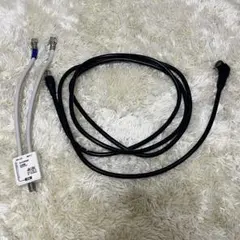 Item thumbnail for item 53e55593-320c-4e14-9f54-47f4352a39c7