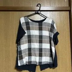 Item thumbnail for item 08b4f9ed-4c01-41fe-9113-45d4d867eb5e