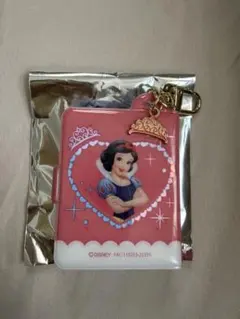 ディズニー 白雪姫 シークレット　ミニアルバム　キーホルダー