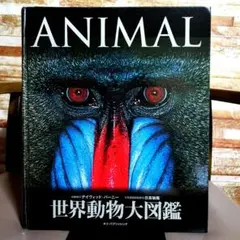 世界動物大図鑑