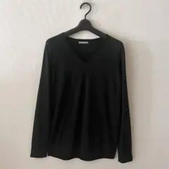 セオリーリュクス　ウール100%Vニット