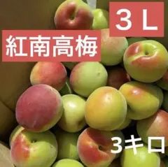 希少な紅南高梅3キロ ３Ｌのサムネイル