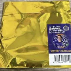 サンフレッチェ広島　特大ホログラム缶バッジ　新品未開封 1点　勝利時限定