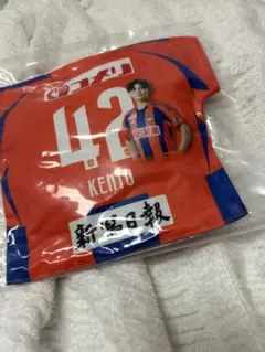 アルビレックス新潟　橋本健人　マッチデークッション　ガラポン