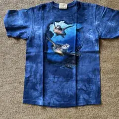 THE MOUNTAIN XL Tシャツ ハワイ火山国立公園のサムネイル