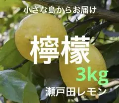 25国産瀬戸田レモン4kg - メルカリ