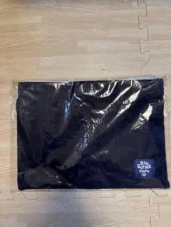 RIP SLYME BEAMS サコッシュ 未開封