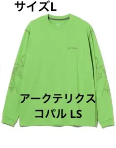 2026年最新】arc