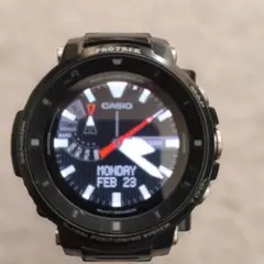 ジャンク CASIO PROTREK WSD-F30 メルカリ
