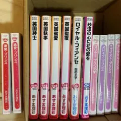 あずま理彩 BL小説 12冊セット プラチナ文庫 B-BOYノベルズ