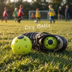 Dry Balls サッカーシューズ用 消臭・調湿ボール 2個セットのサムネイル
