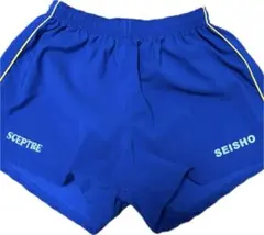 京都成章高校ラグビー部 L 短パン ブルー 中古美品 セプター ラグパン