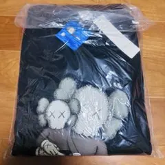 Item thumbnail for item cb79ea33-0440-43de-82d8-d2695471bf5e