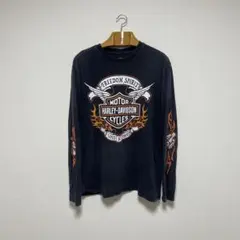 Harley-Davidson ファイヤー フレイム 袖プリ長袖Tシャツ ロンT