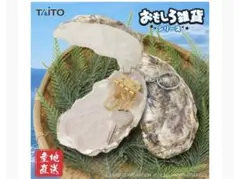 タイトー　カキーケース　新品未使用