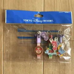 東京ディズニーリゾート 未使用キーホルダー 3点セット