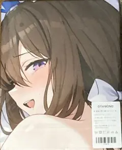 【未開封品/シークレットバスタオル】アドマイヤベガ