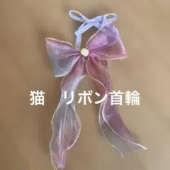 猫　首輪