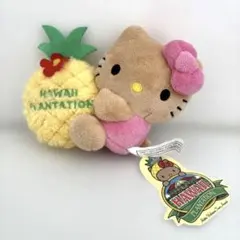 2026年最新】日焼けキティ ハワイの人気アイテム - メルカリ