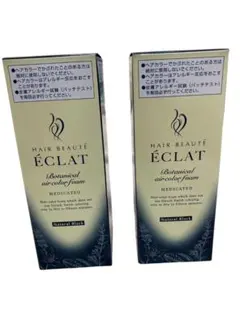 ★未開封★ フューチャーラボ ヘアボーテエクラ ボタニカルエアカラーフォームEXのサムネイル