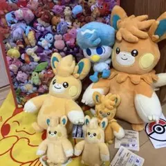 포켓몬 パモ パーモット ぬいぐるみ もっちり 6点セット