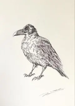 鳥の絵　原画　カラス