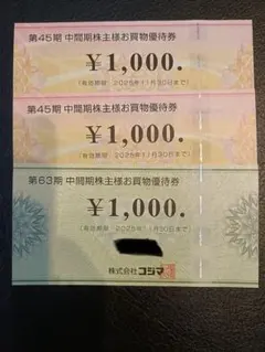 コジマ＆ビックカメラ　優待券3000円