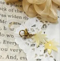 あ豆や様 リクエスト 2点 まとめ商品