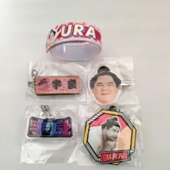 宇良5点セット　大相撲　相撲ガチャ