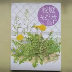 Item thumbnail for item 637e8c0c-e1ea-4e2a-b322-dd2f1683f44f