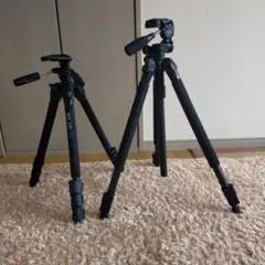 Item thumbnail for item a9d09b24-aa48-41e8-8ef8-fc87c8a11d3f