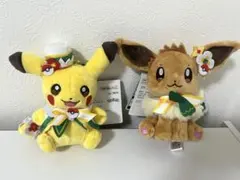 ポケパークカントー限定 イーブイピカチュウぬいぐるみセット - メルカリ