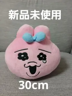【新品未使用】匿名配送 おぱんちゅうさぎ くてんこBIGぬいぐるみ 可哀想に！