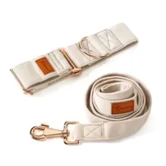 Item thumbnail for item 125fd710-3a07-4526-812d-69f42aa2c2d3